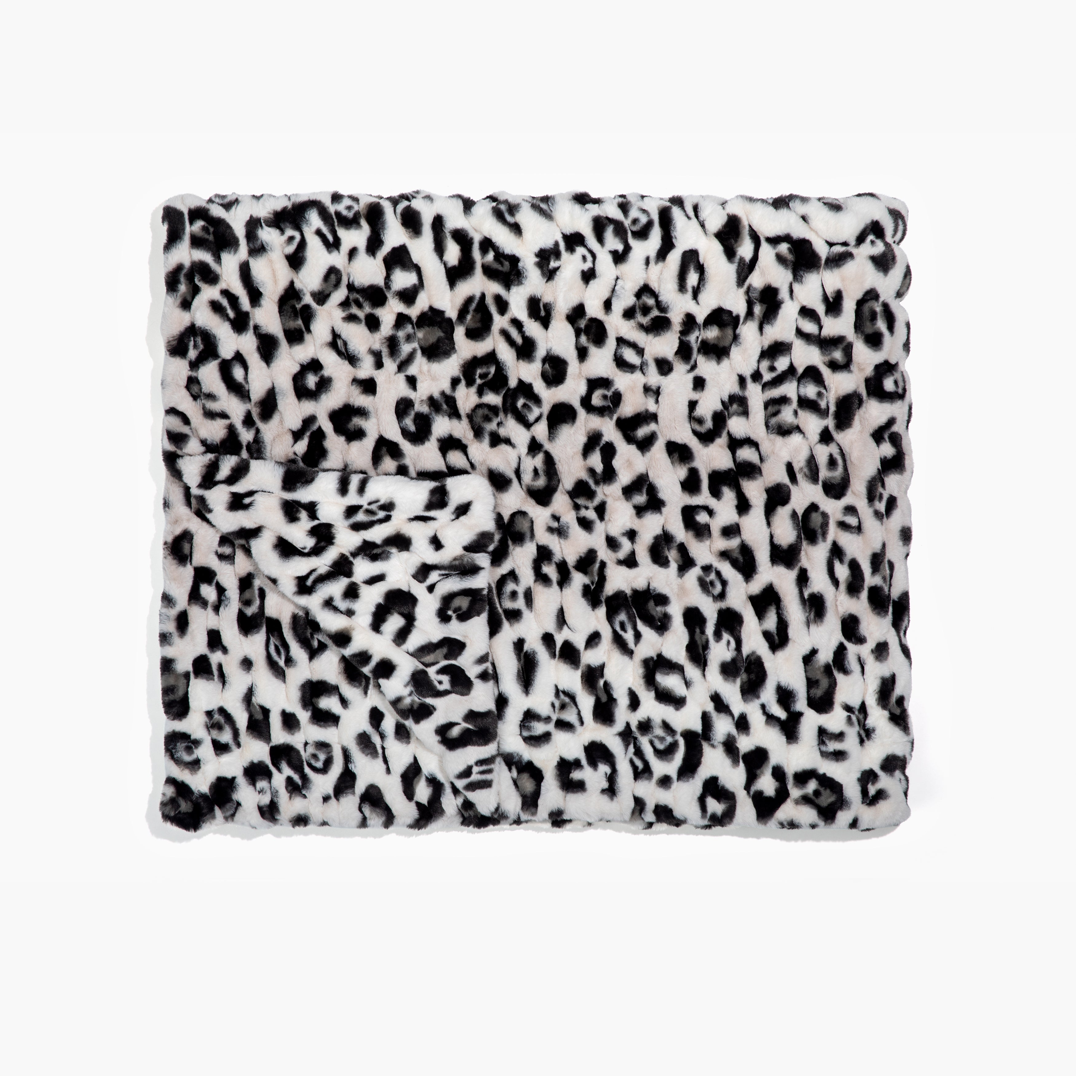 Snow Leopard