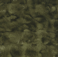 Swatch image for Fern Green