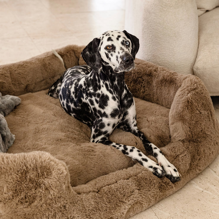 The Lola Pet Bed | Medium/Large