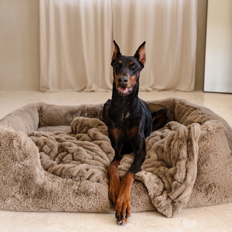 Desert Dune Faux Fur Pet Blanket on Large Pet Bed by Lola Blankets