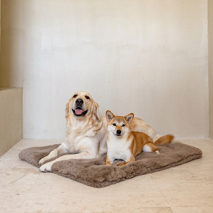 One Size Pet Pad in Desert Dune by Lola Blankets