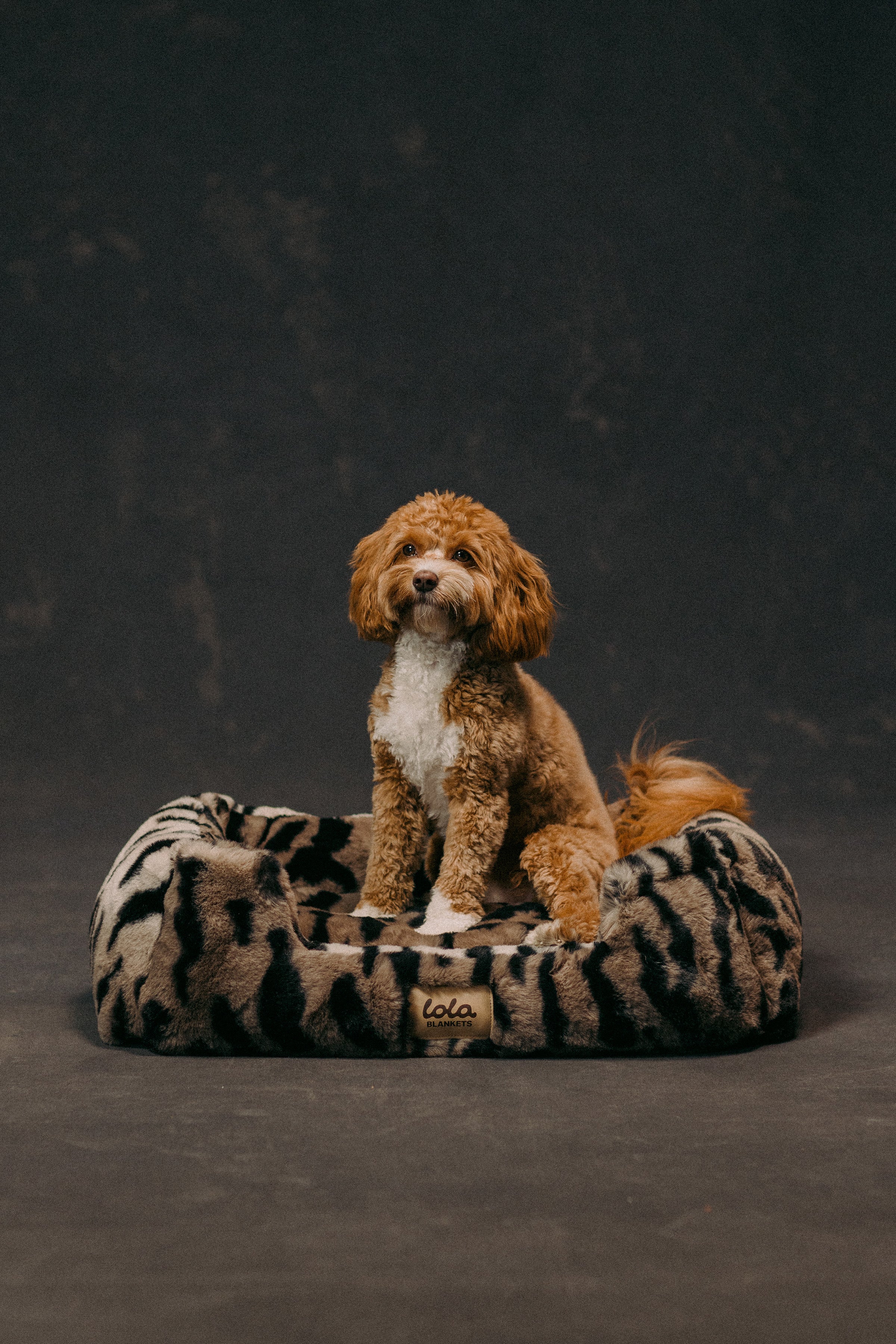 Memory Foam Pet Bed - Desert Tiger | Lola Blankets