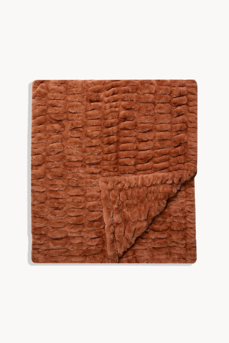 Jersey Brown