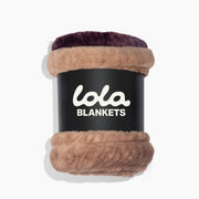 Vintage Violet Ombre