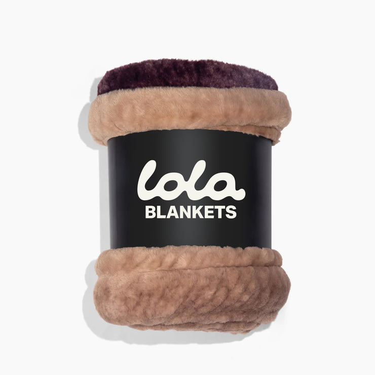 Vintage Violet Ombre