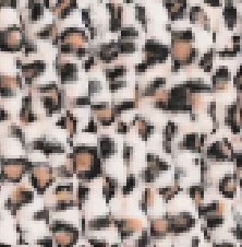 Swatch image for Chillin' Cheetah