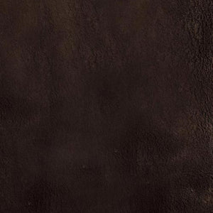 Swatch image for Earth