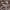 Translation missing: en.snippets.core_react_product_card.swatch_alt