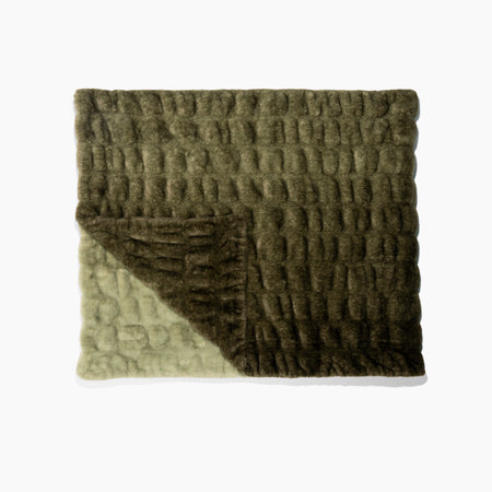 Retro Green Ombre