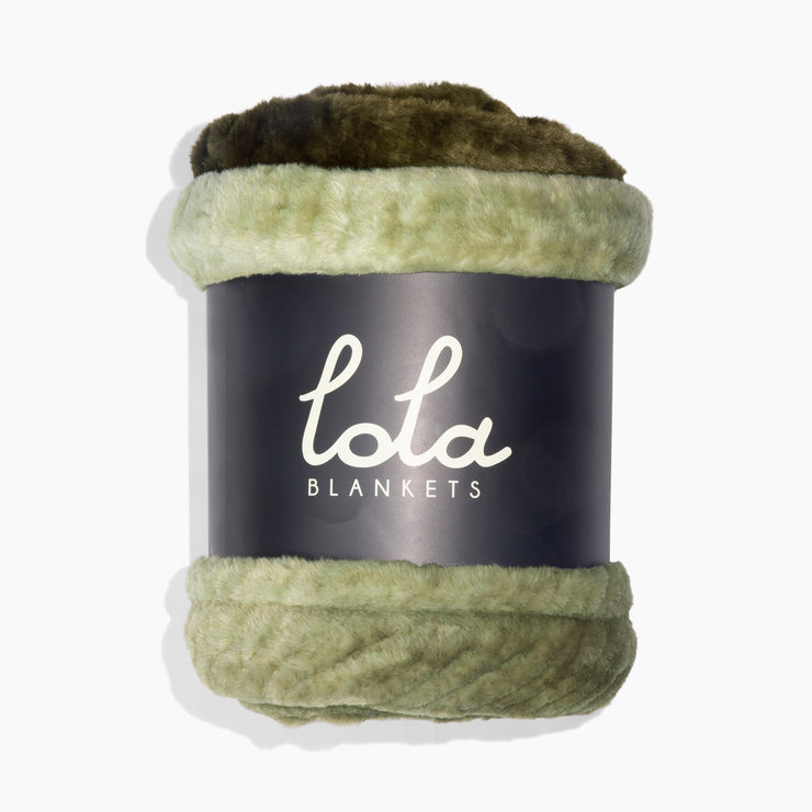 Retro Green Ombre