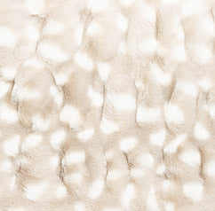 Swatch image for Ivory Fawn
