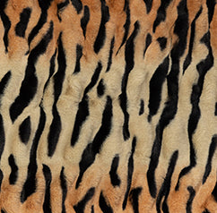 Swatch image for Jungle Tiger