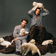 POP Band LANY with their new Lola Blanket and Dogs