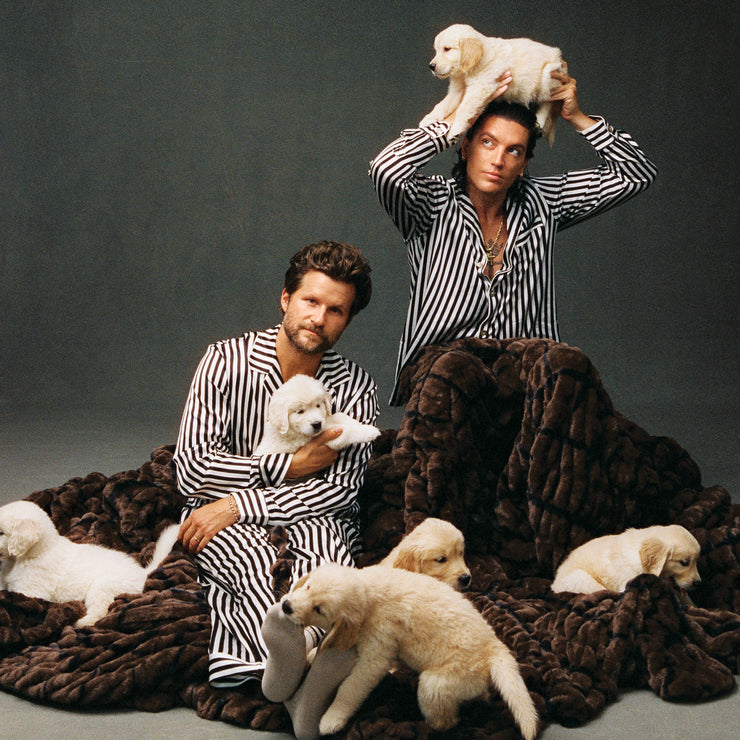 POP Band LANY with their new Lola Blanket and Dogs