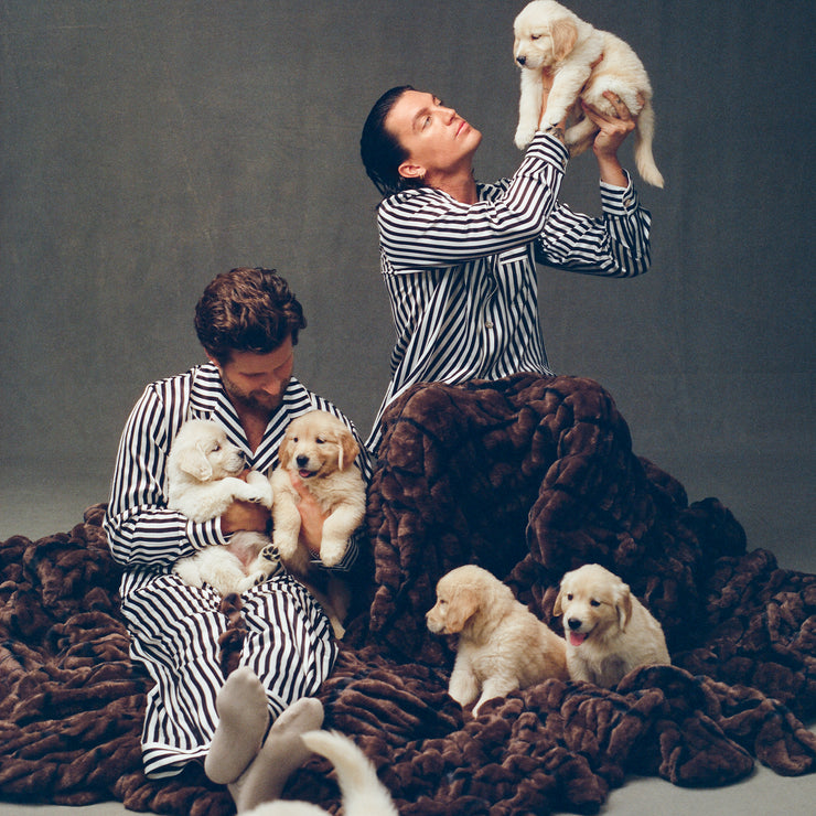 POP Band LANY with their new Lola Blanket and Dogs