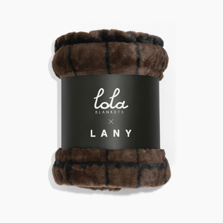 Dark Brown blanket with black stripes