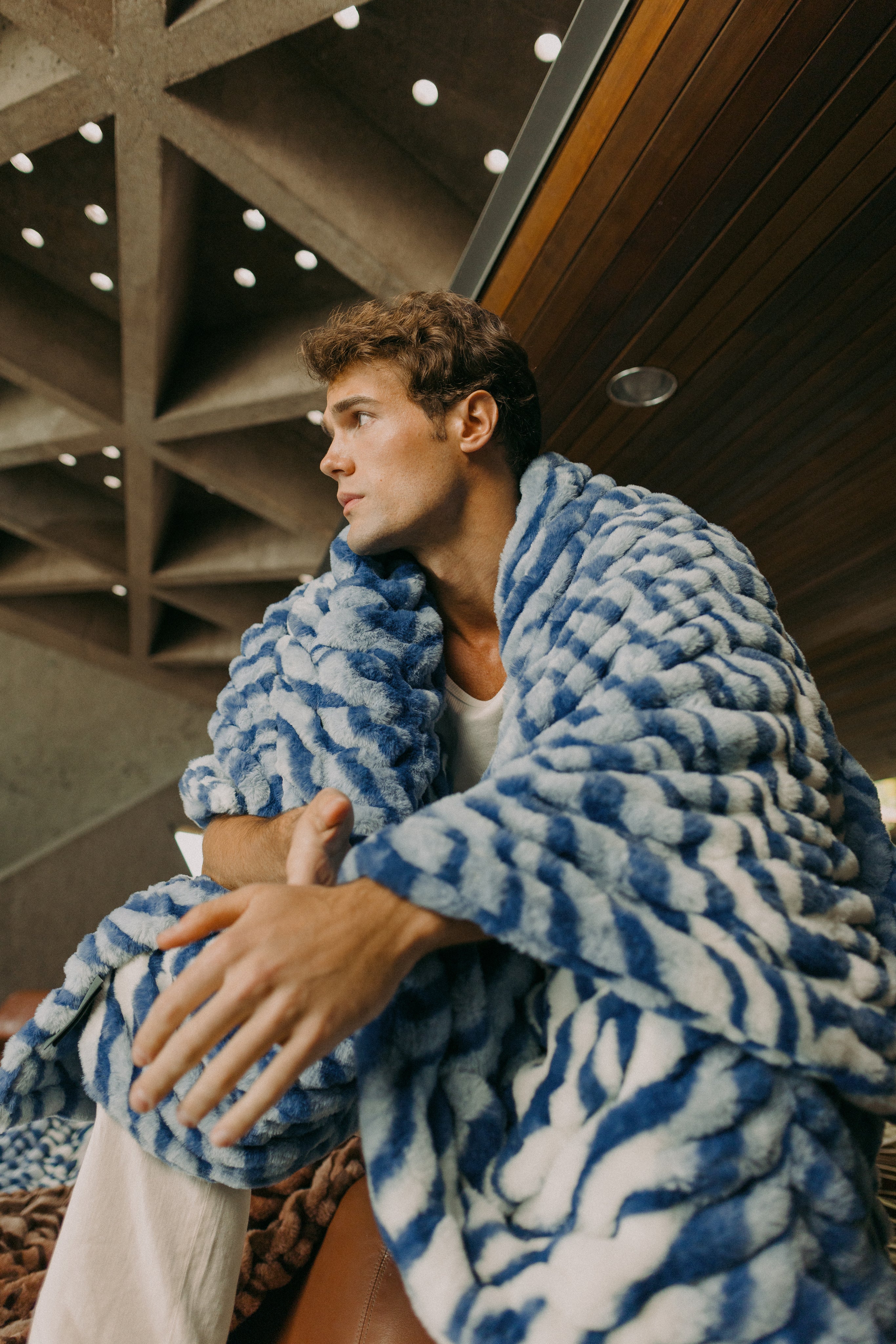 Blue Zebra – Lola Blankets