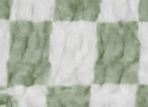 Swatch image for Matcha Check