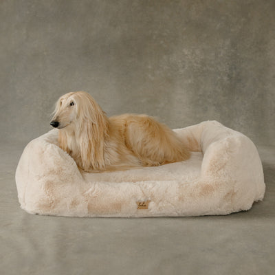 Dog lying on a fluffy beige pet bed against a neutral background