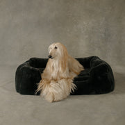 Dog lying on a black fluffy pet bed against a neutral background