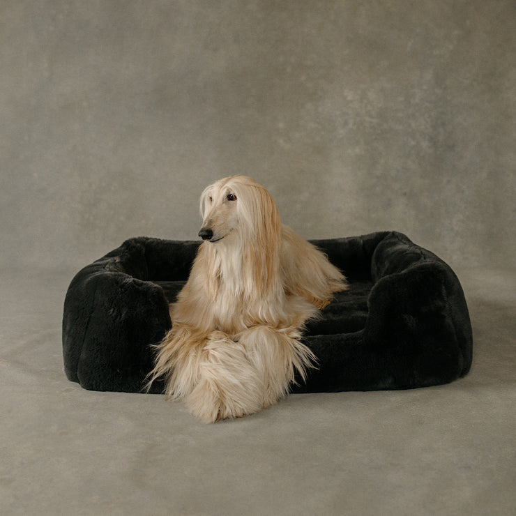 Dog lying on a black fluffy pet bed against a neutral background