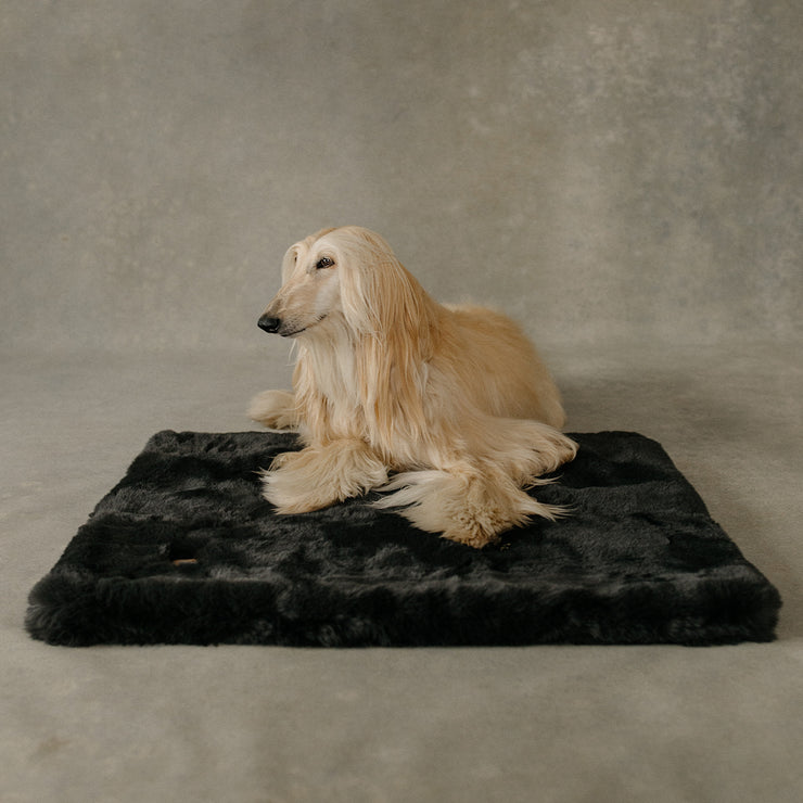 Dog lying on a black fur rug against a gray background