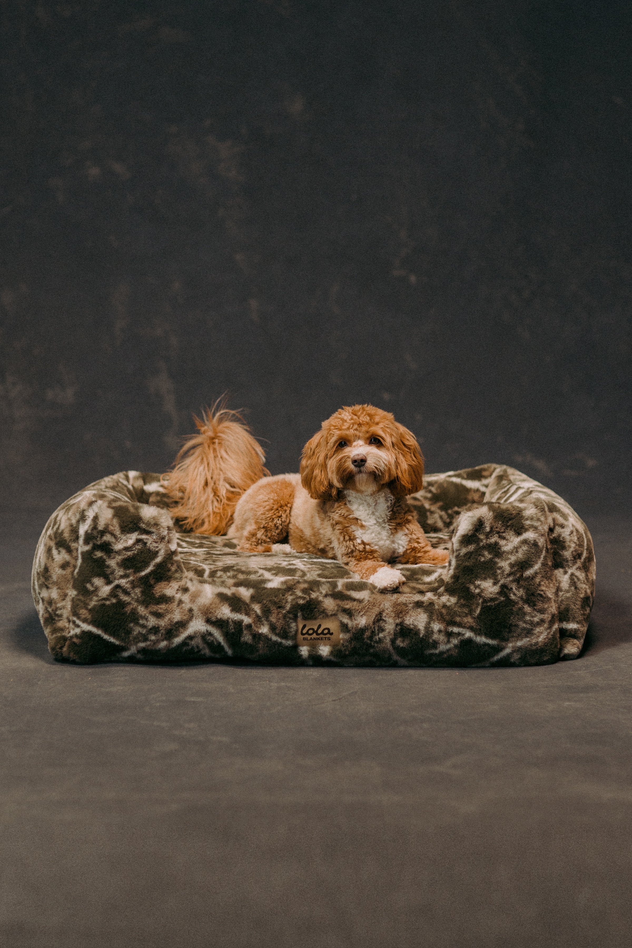 ape camo dog bed エイプ カモ 迷彩 ドッグベッド クッション ape camo