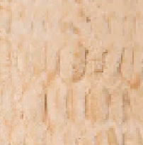 Swatch image for Sand Dollar