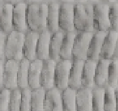 Swatch image for Silver Linings Pillow