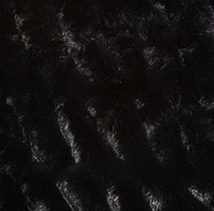 Swatch image for Lola x Dagne Dover: Onyx Bundle