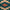 Translation missing: en.snippets.core_react_product_card.swatch_alt
