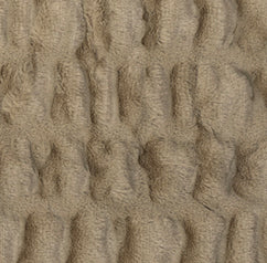 Swatch image for Wild Olive