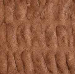 Swatch image for Woodstock